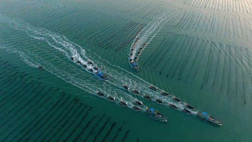 新华全媒 向海图强 海洋经济 扬帆远航